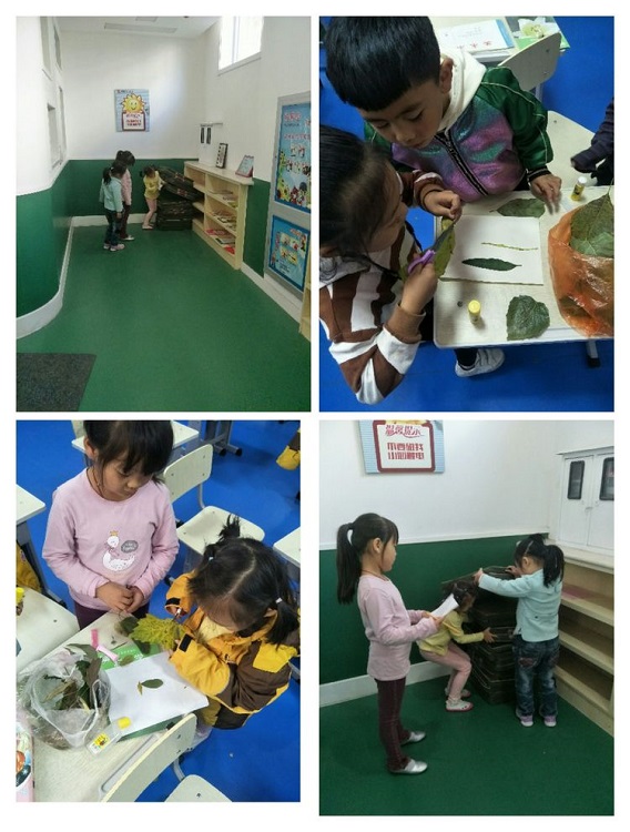 微信圖片_20181015082224.jpg