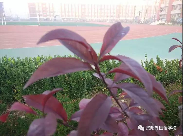 微信圖片_20181114142810.jpg 微信圖片_20181114142810.jpg