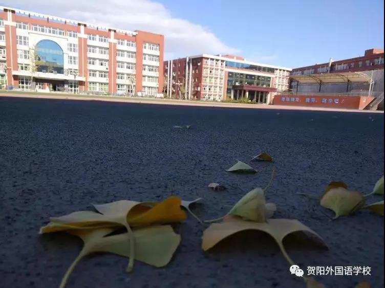 微信圖片_20181114144352.jpg 微信圖片_20181114144352.jpg
