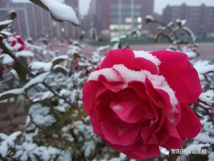 微信圖片_20181206161007.jpg 微信圖片_20181206161007.jpg