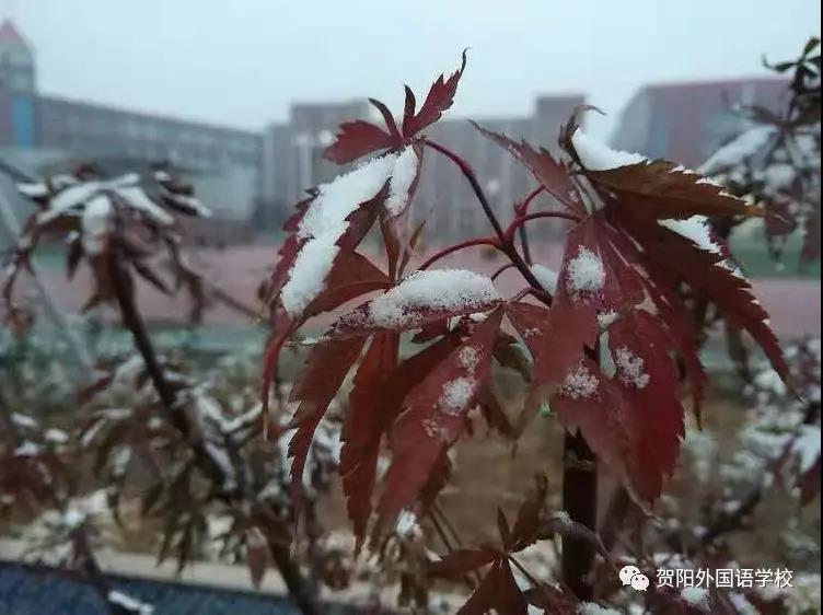 微信圖片_20181206161045.jpg 微信圖片_20181206161045.jpg