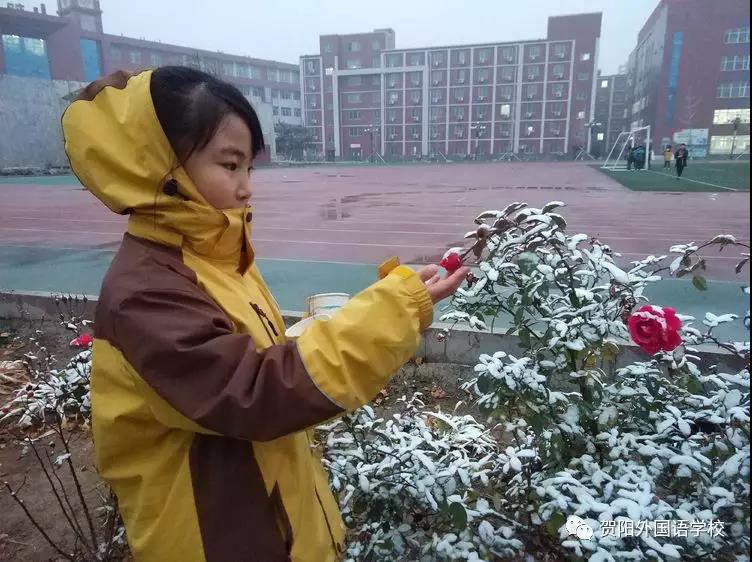 微信圖片_20181206161230.jpg 微信圖片_20181206161230.jpg