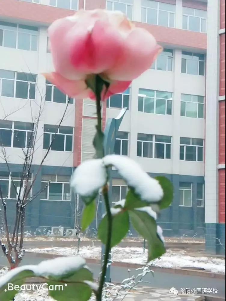 微信圖片_20181206161226.jpg 微信圖片_20181206161226.jpg