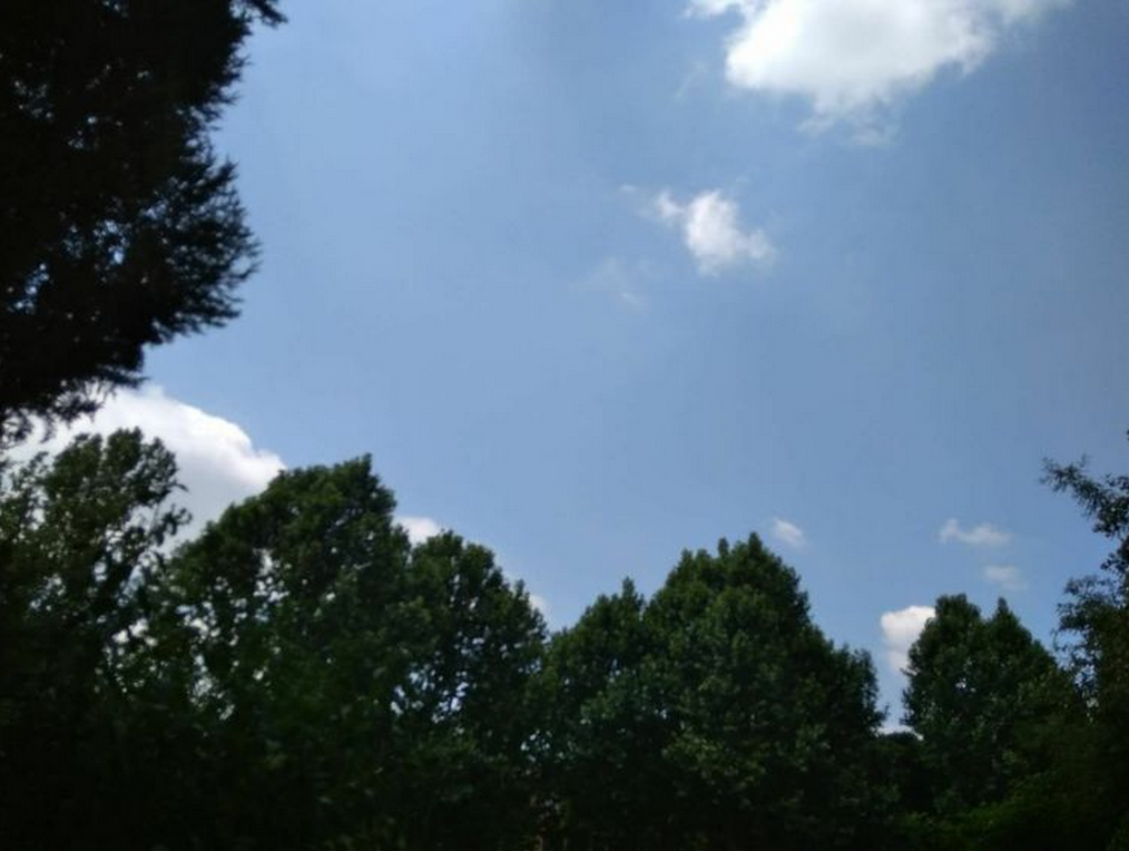 1528789933(1).png 1528789933(1).png