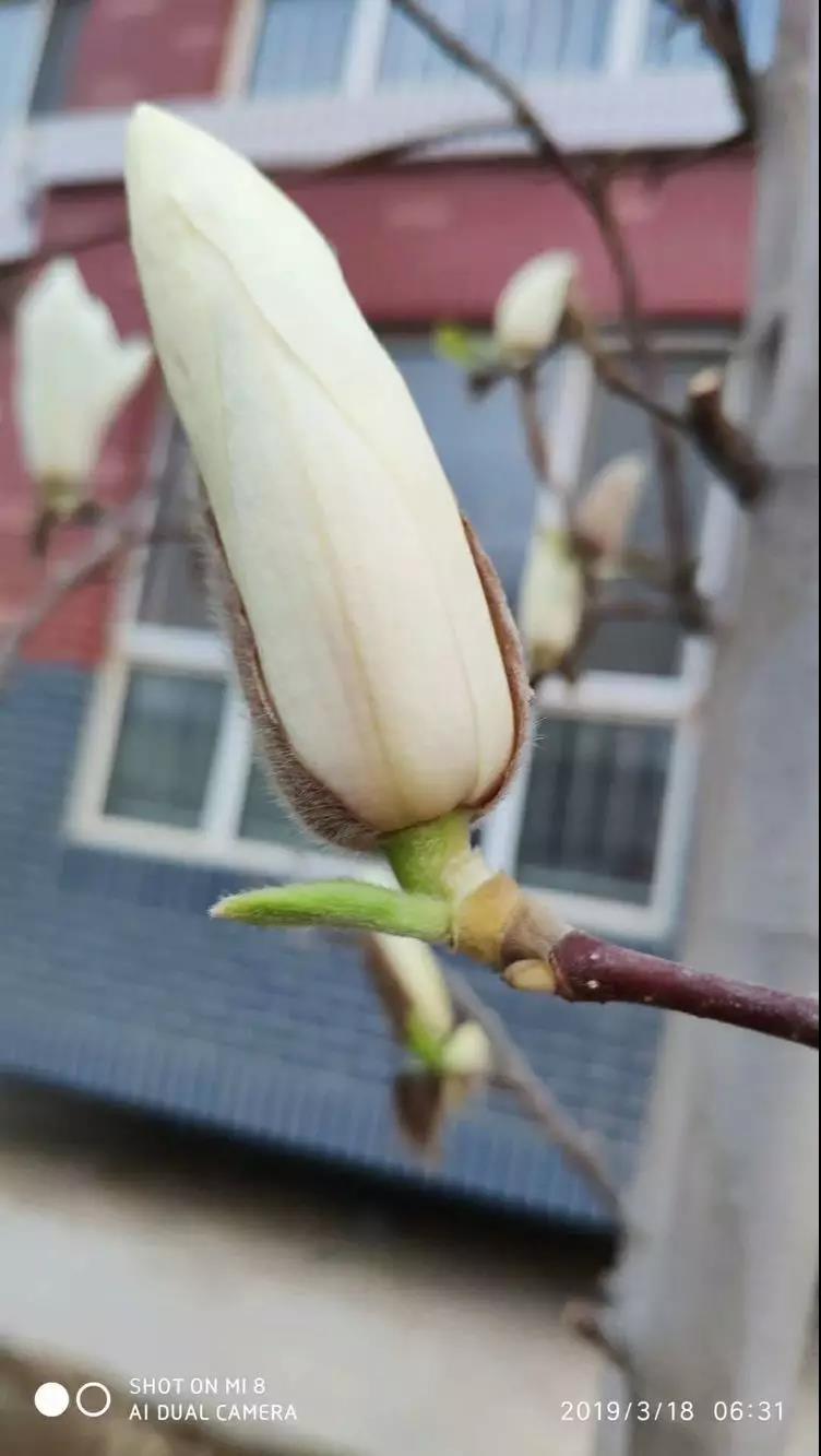 微信圖片_20190401153254.jpg 微信圖片_20190401153254.jpg