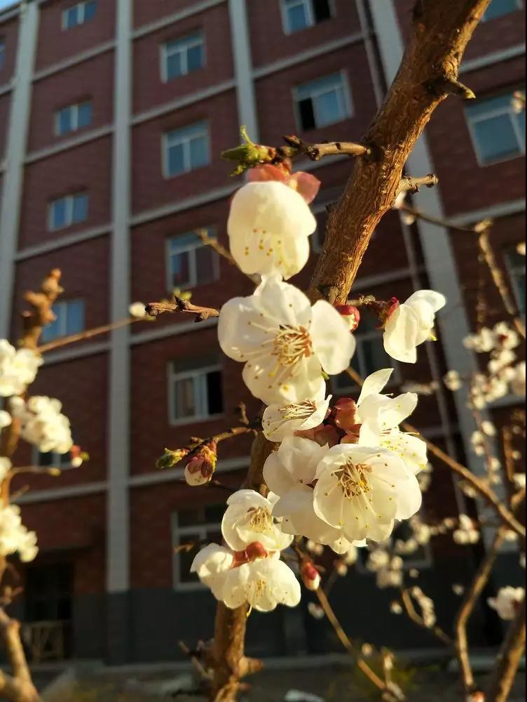 微信圖片_20190401153426.jpg 微信圖片_20190401153426.jpg