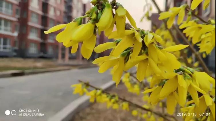 微信圖片_20190401153545.jpg 微信圖片_20190401153545.jpg