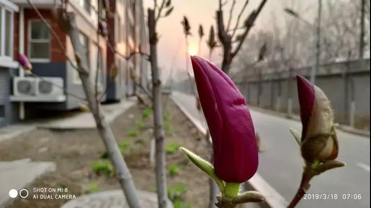 微信圖片_20190401153550.jpg 微信圖片_20190401153550.jpg