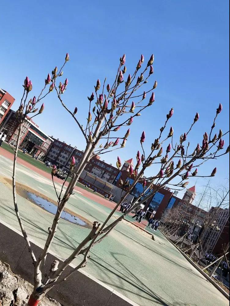微信圖片_20190401153749.jpg 微信圖片_20190401153749.jpg